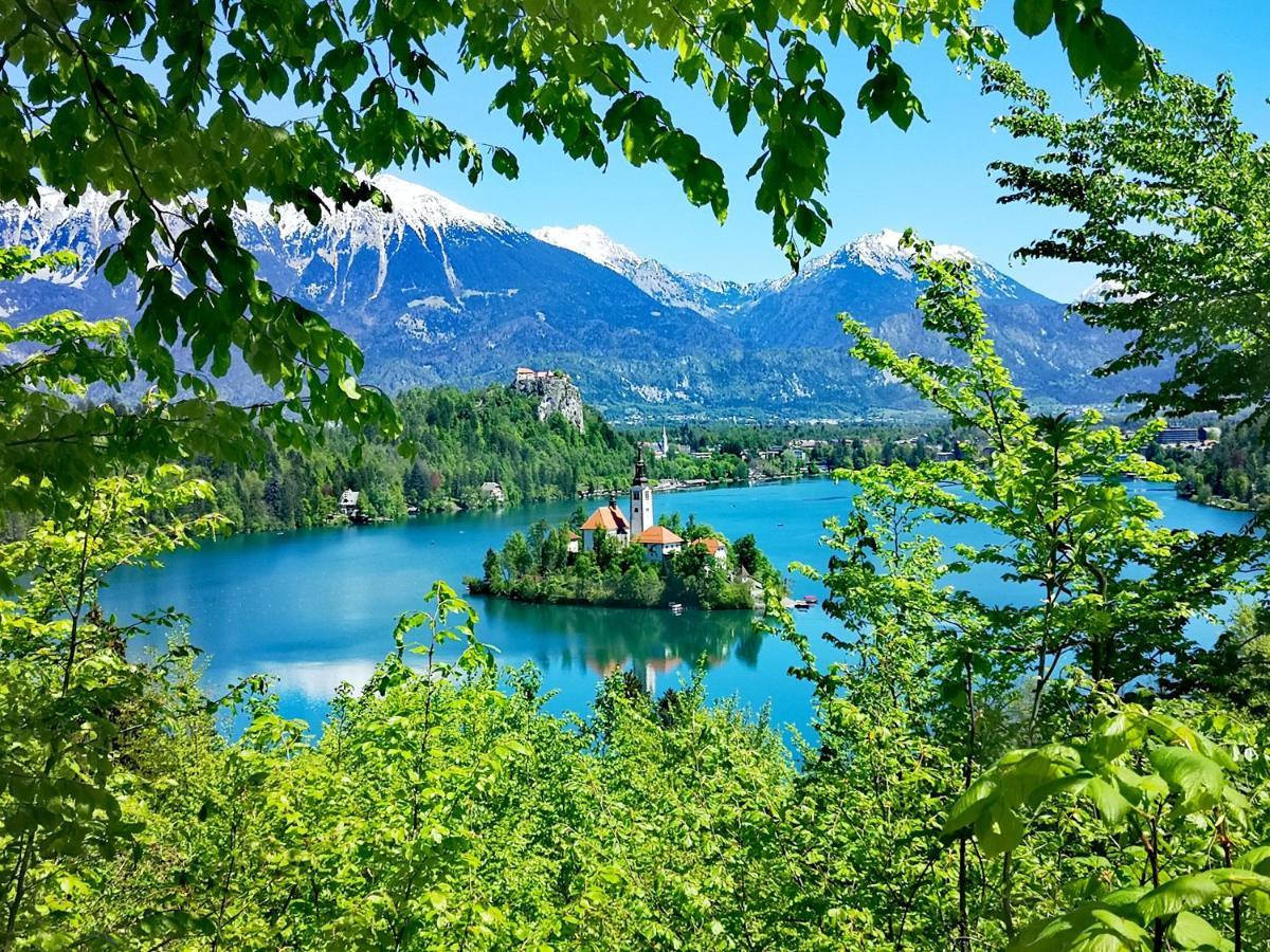 Ribno Alpine Hotel Bled Eksteriør bilde