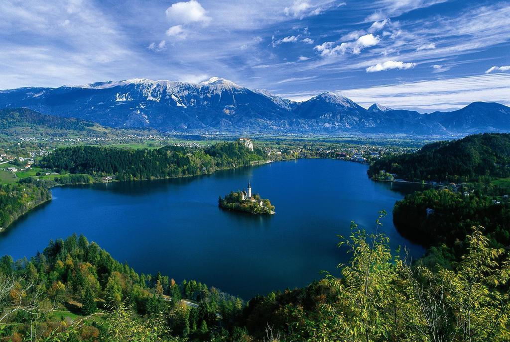 Ribno Alpine Hotel Bled Eksteriør bilde